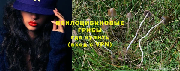 ГАЛЛЮЦИНОГЕННЫЕ ГРИБЫ Абдулино