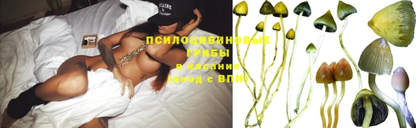 Альфа ПВП Абаза
