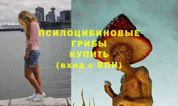 ГАЛЛЮЦИНОГЕННЫЕ ГРИБЫ Абдулино