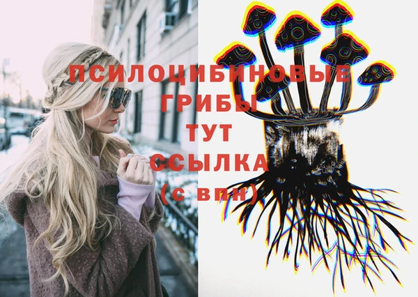 Альфа ПВП Абаза