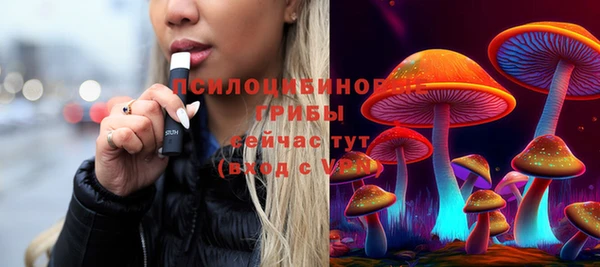 МДПВ Алексеевка